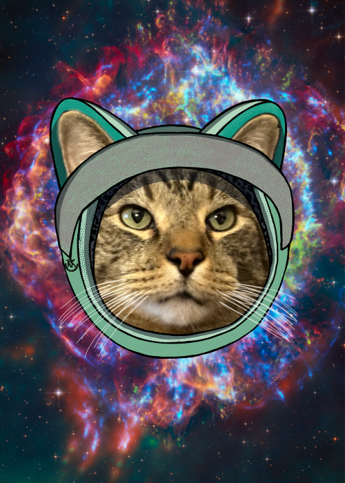 Ground Control to Major Paws