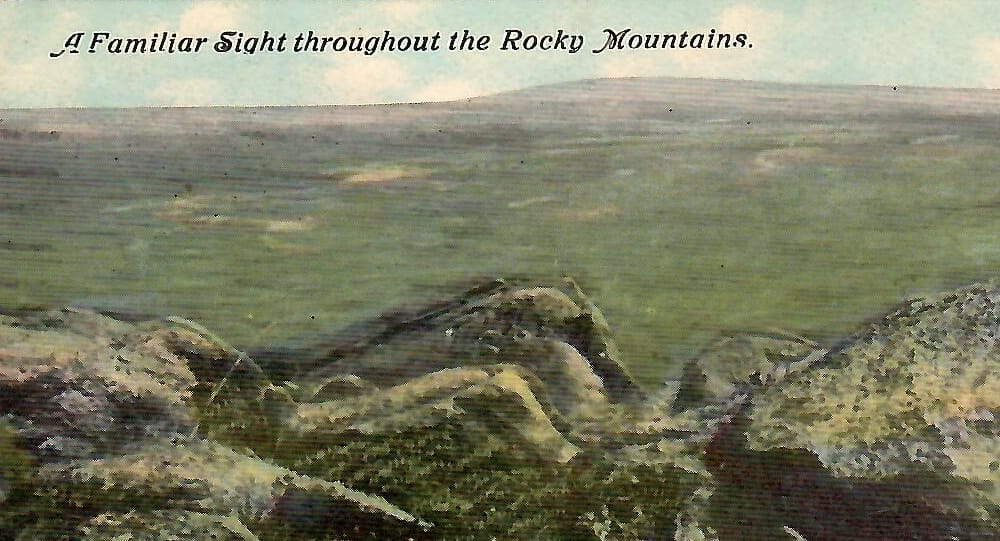 This postcard has snakes