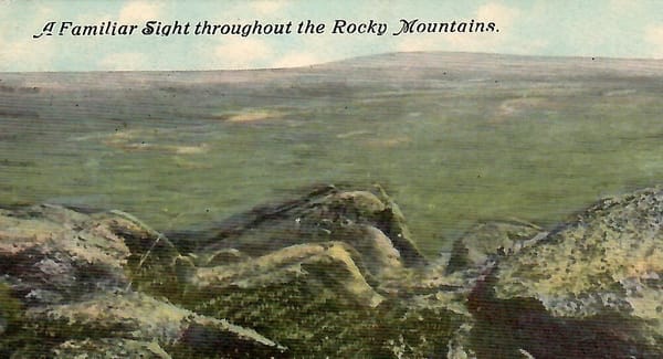 This postcard has snakes