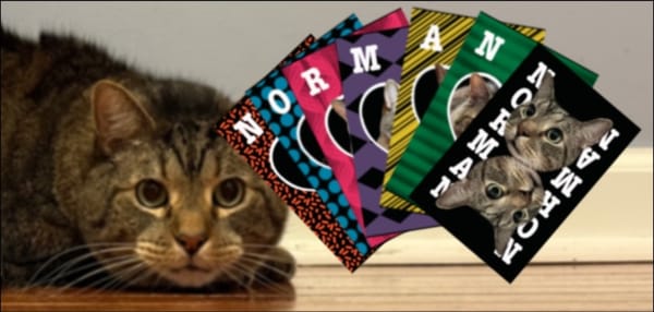 Norman the Game - Just Launched